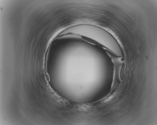 X0000085060815200703191323