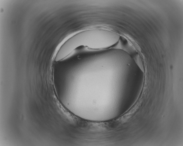 X0000085060816200703191323