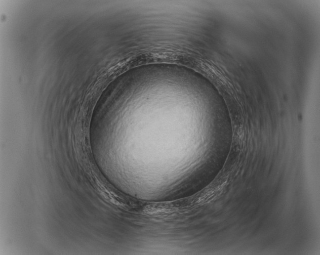 X0000085060817200703191322