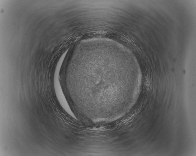 X0000085060818200703191322