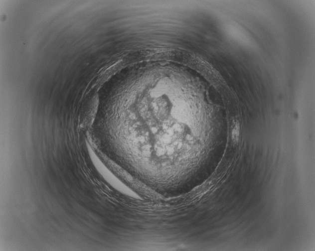 X0000085060819200703191322