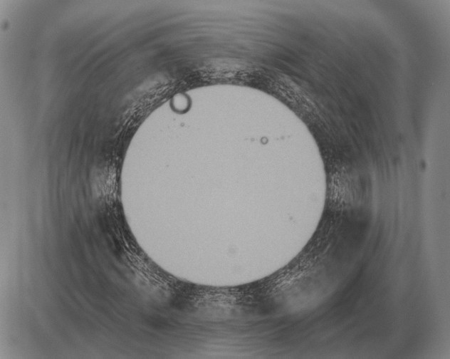 X0000085060820200703191322