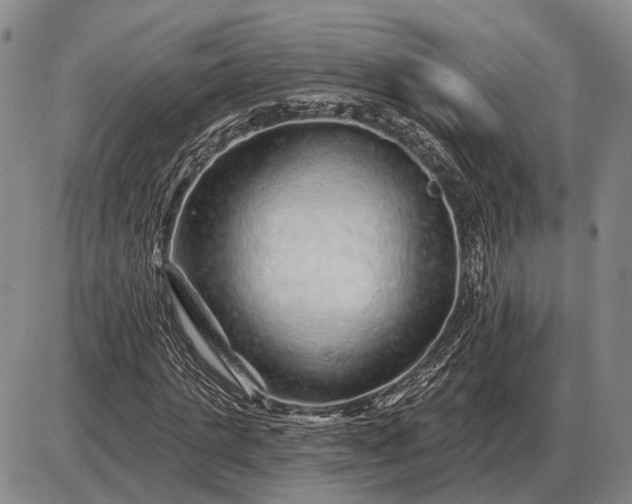 X0000085060821200703191322