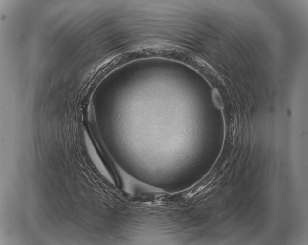 X0000085060822200703191322