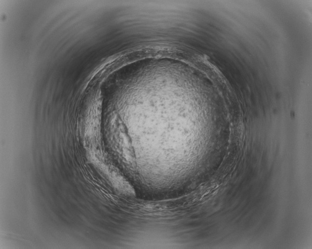 X0000085060823200703191322