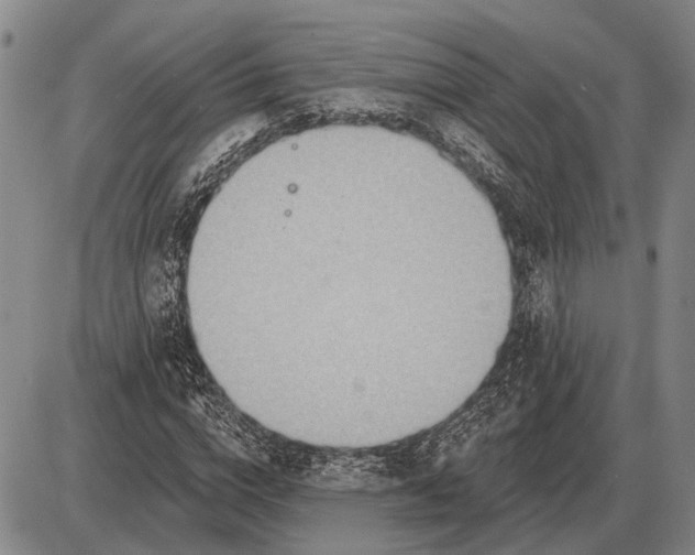 X0000085060824200703191322