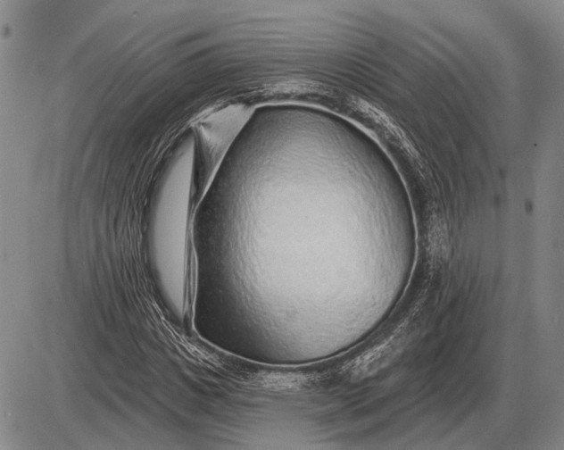 X0000085060825200703191322