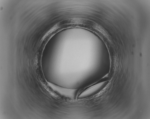 X0000085060826200703191322