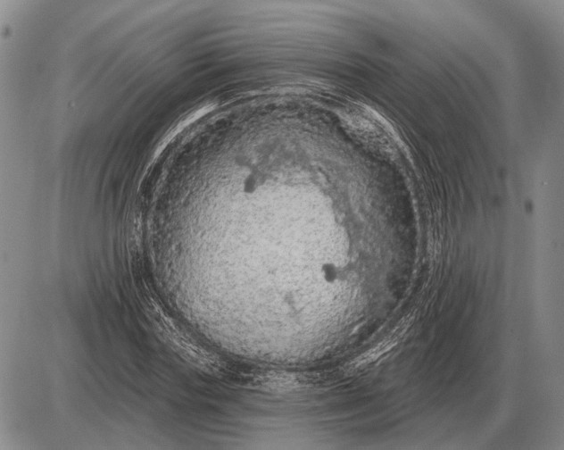 X0000085060827200703191322