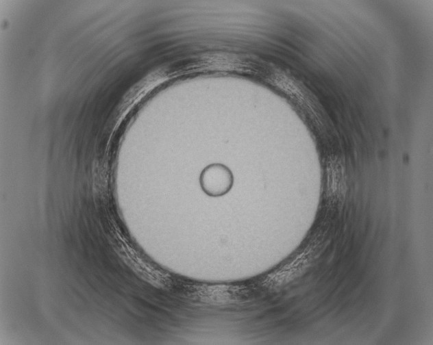 X0000085060828200703191322