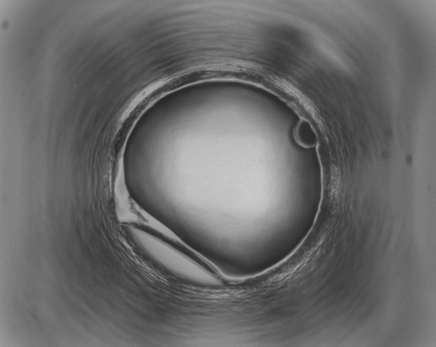 X0000085060829200703191322