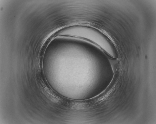 X0000085060830200703191322