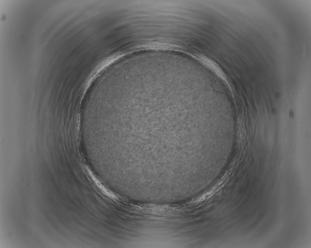 X0000085060831200703191322