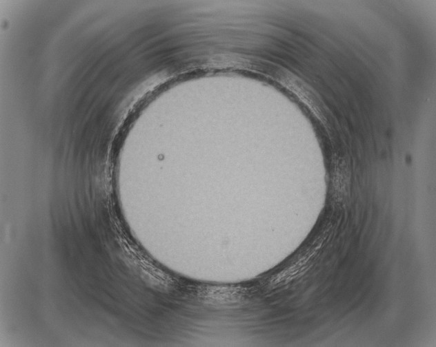 X0000085060832200703191322