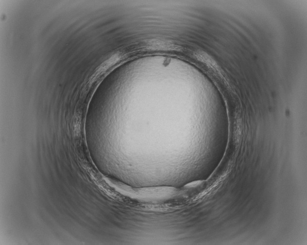 X0000085060833200703191322