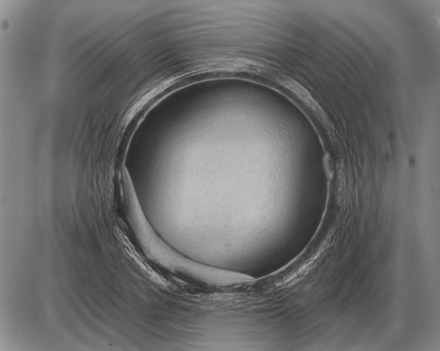 X0000085060834200703191323