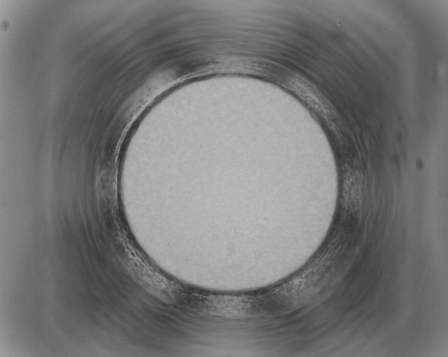 X0000085060836200703191323