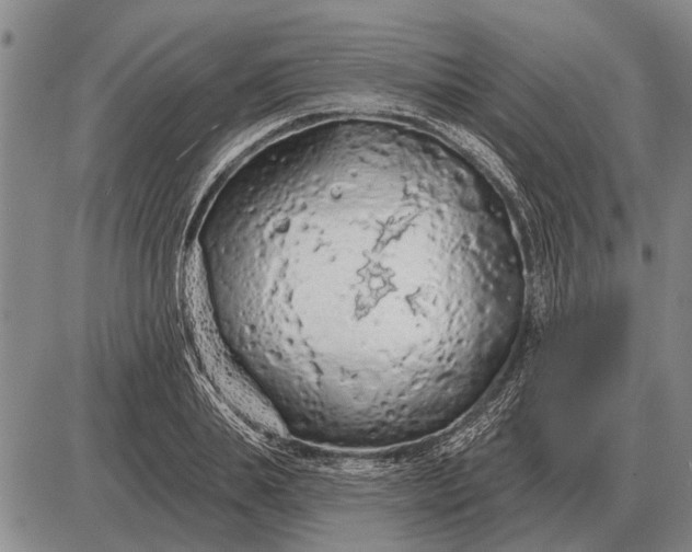 X0000085060839200703191323