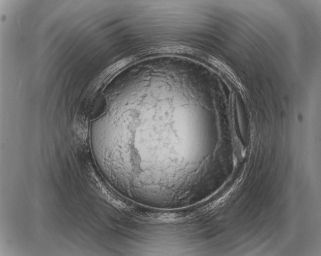 X0000085060841200703191323