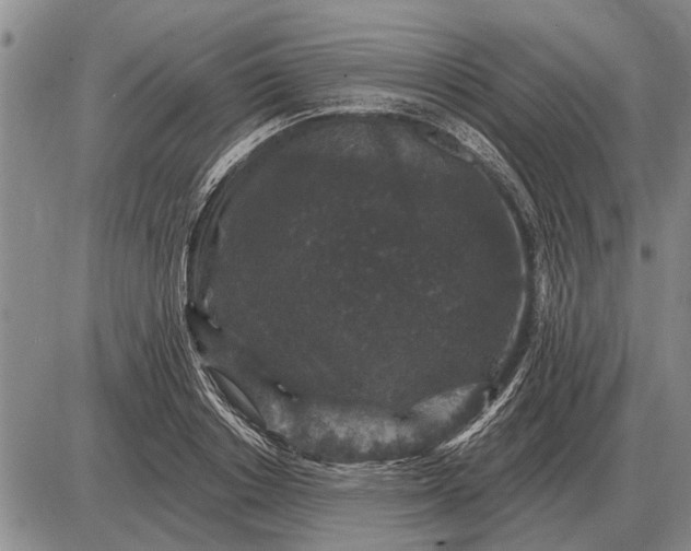 X0000085060842200703191323