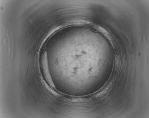 X0000085060843200703191323