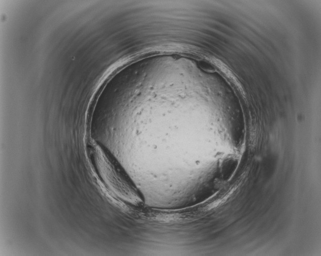 X0000085060845200703191323