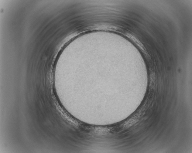 X0000085060848200703191323