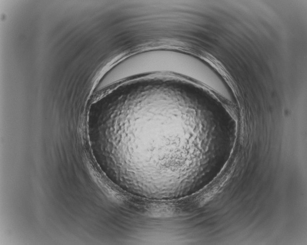 X0000085060850200703191323