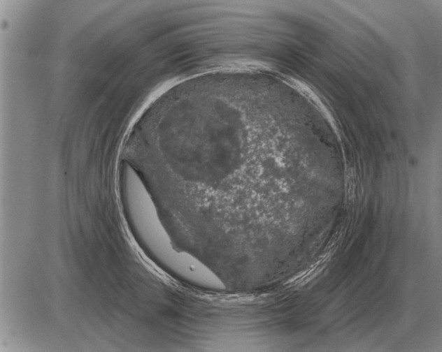 X0000085060851200703191323