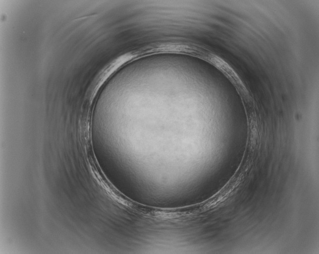 X0000085060852200703191323