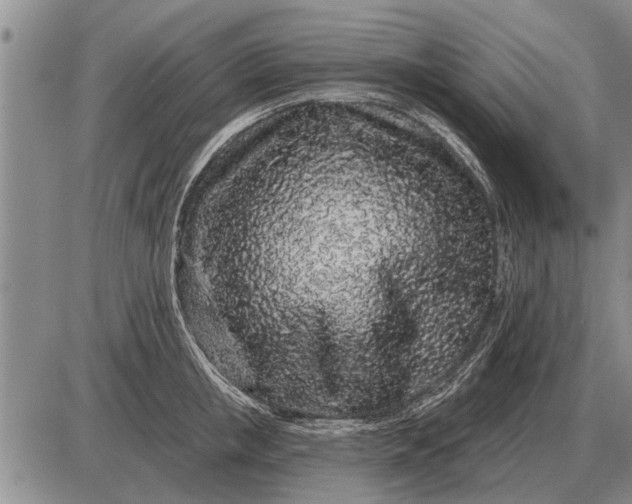 X0000085060853200703191323