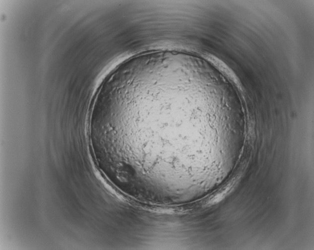 X0000085060855200703191323