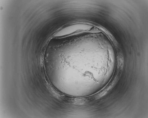 X0000085060857200703191323