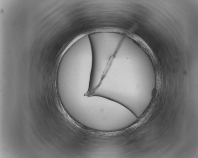 X0000085060860200703191323