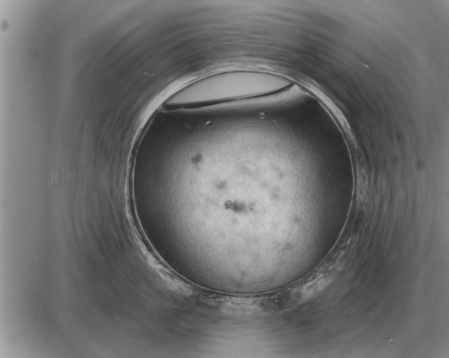 X0000085060861200703191323