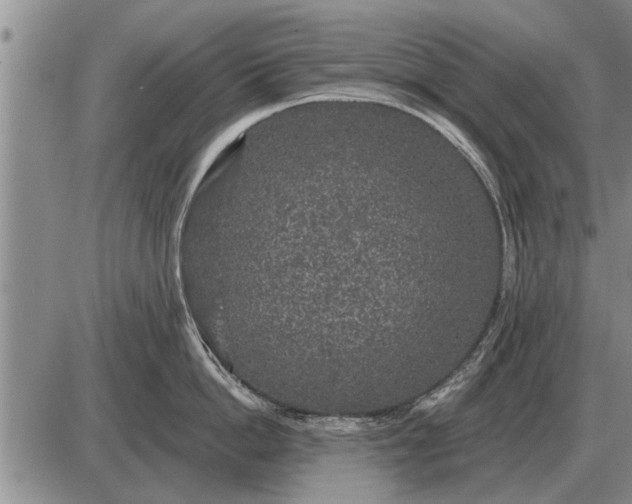 X0000085060862200703191323