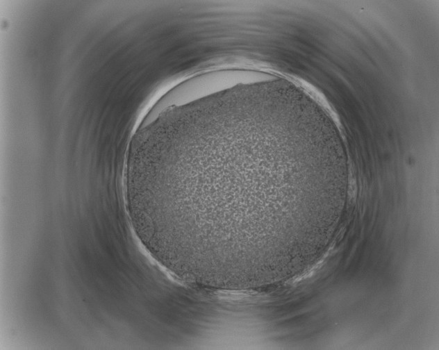 X0000085060863200703191323