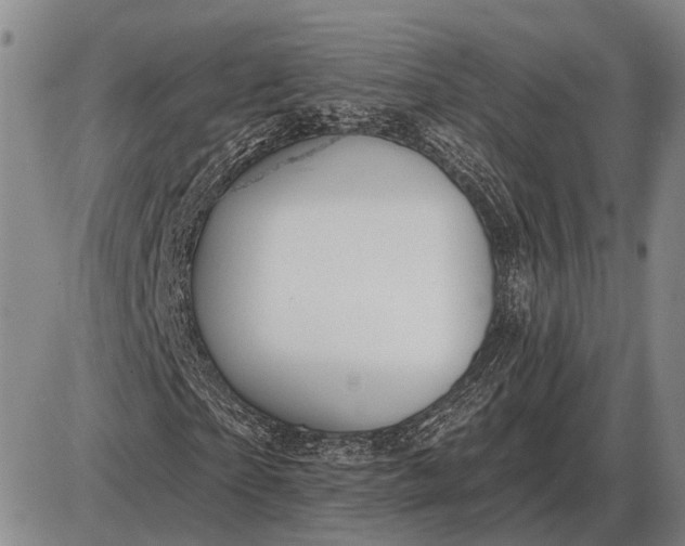 X0000085060865200703191322