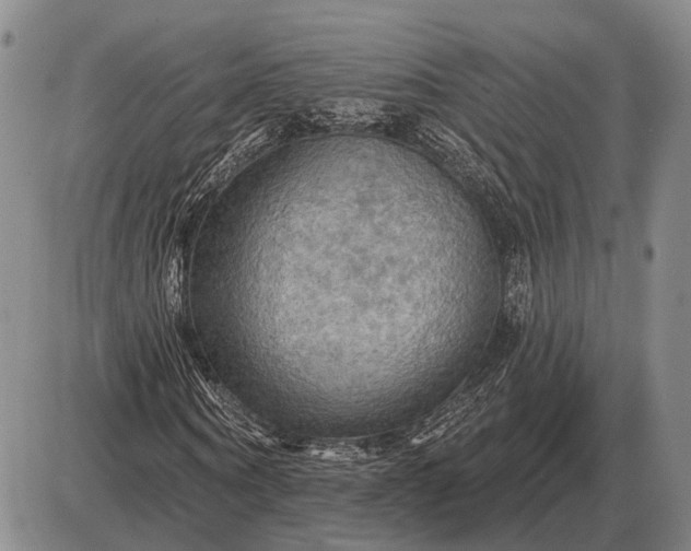 X0000085060866200703191322