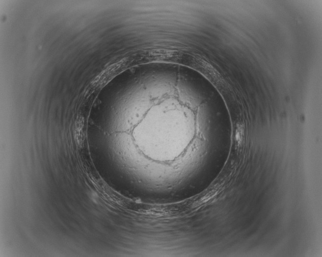 X0000085060867200703191322