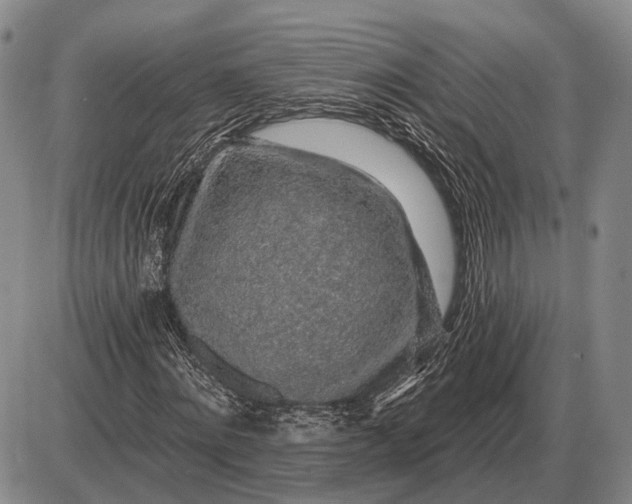 X0000085060868200703191322