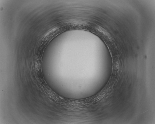 X0000085060869200703191322