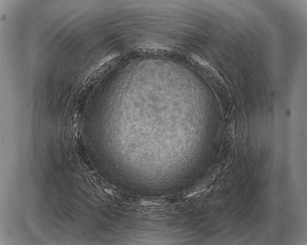 X0000085060870200703191322