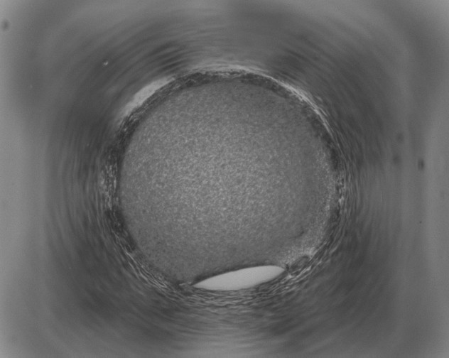 X0000085060871200703191322