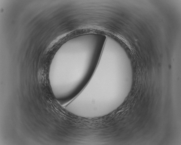 X0000085060872200703191322