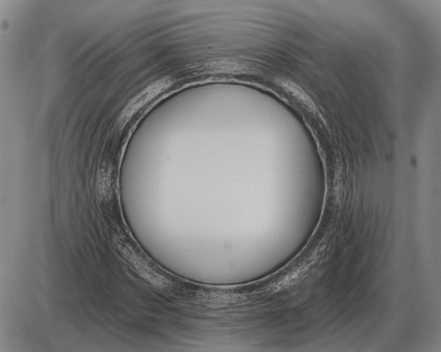 X0000085060873200703191322