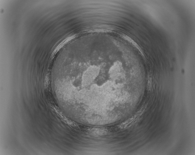 X0000085060874200703191322