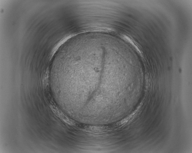 X0000085060875200703191322