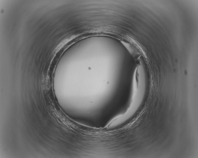 X0000085060876200703191322