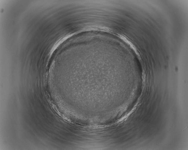 X0000085060877200703191322